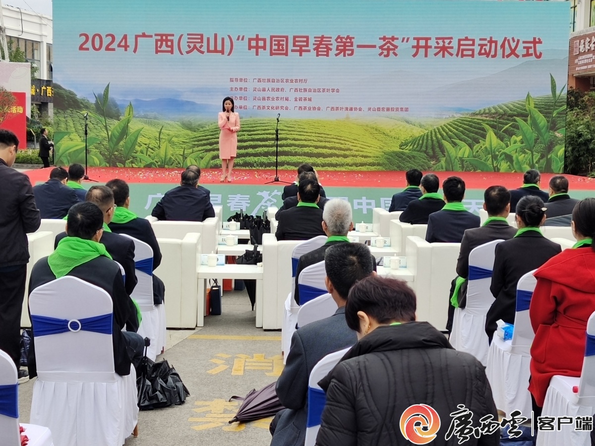 2024广西“中邦初春第一茶”系列举止正式开启